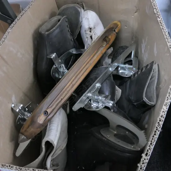 BOX ASST ICE SKATES ETC