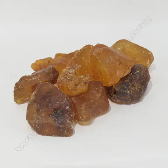 9 KAURI GUM PCES COMBINED WEIGHT 500 GRAMS APPROX