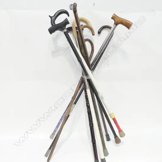 9 ASST WALKING STICKS