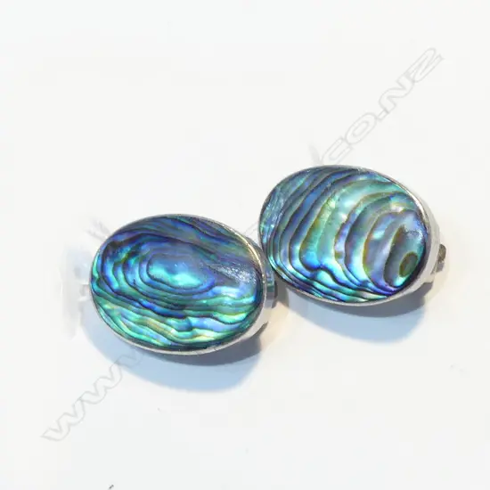 STG SILVER PAUA CLIP EARINGS