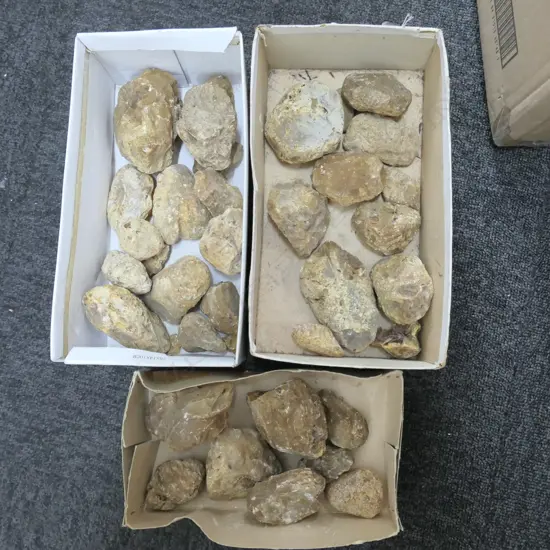 3 SMALL BOXES OF KAURI GUM