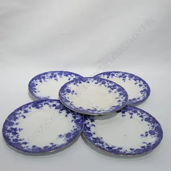 5 BURGESS & LEIGH BLUE & WHITE PLATES