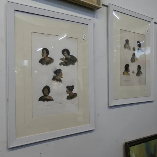 2 LOUIS DE SAINSON ENGRAVINGS 1833 'NOUVELLE ZELANDE'