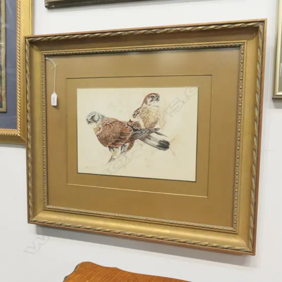 JARIUS W/C OF KESTRELS, GILT FRAMED. W. 620MM