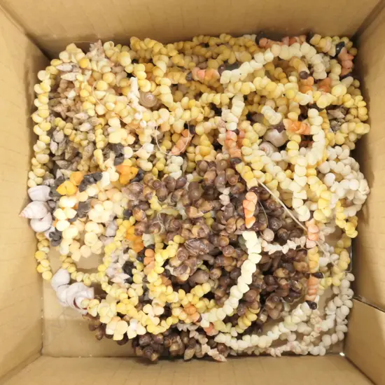 ASST. VINTAGE PACIFIC ISLAND NECKLACES