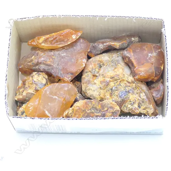 LOT ASST KAURI GUM NUGGETS