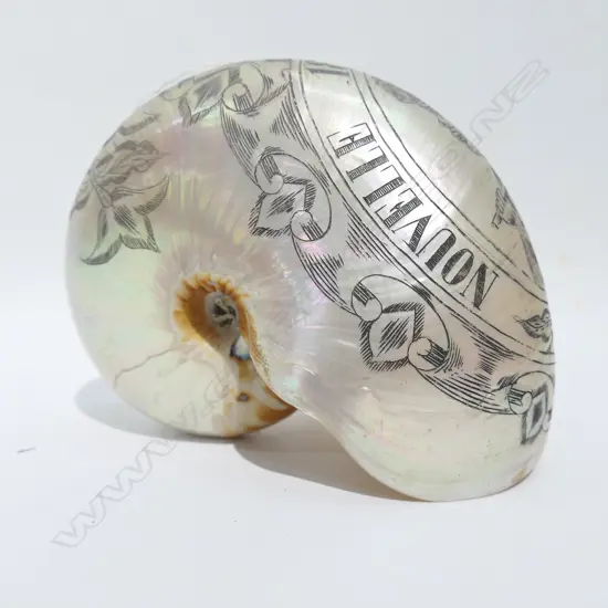 (18750) SCRIMSHAW NAUTILUS SHELL 'NOUVELLE...