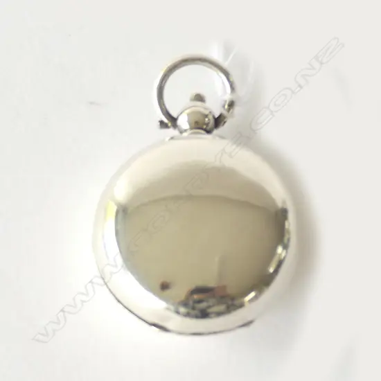 EDWARDIAN SILVER SOVEREIGN CASE