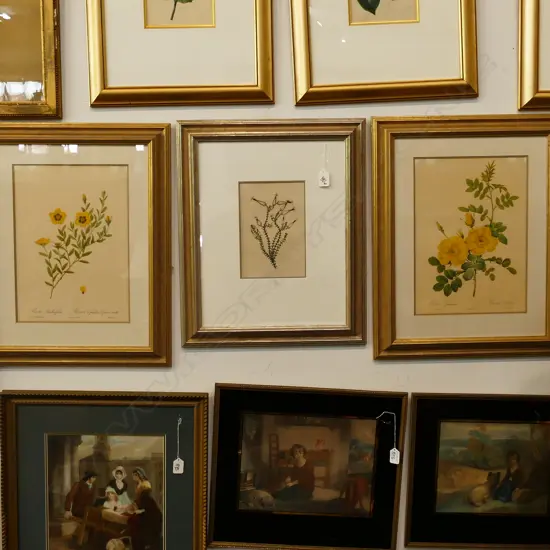 3 FLORAL BOTANICAL PRINTS GILT FRAMED