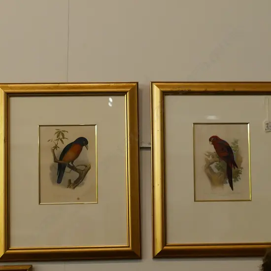 PR ORNITHELOGICAL PRINTS GILT FRAMED