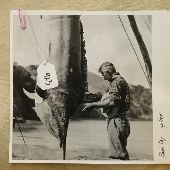 PR PHOTOGRAPHS OF FISHERMAN W/ MARLIN CATCH - ON RAG PAPER 190 X 180. 
