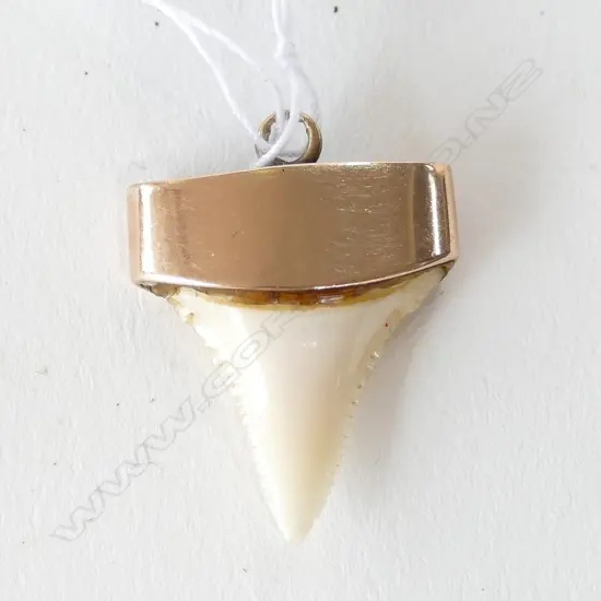 COLONIAL 9CT MOUNTED SHARKS TOOTH PENDANT