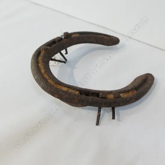 CARDIGAN BAY HORSE SHOE FROM OWNERS HOUSE