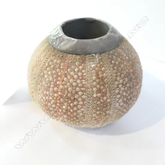 EDW SILVER MOUNTED SEA URCHIN INKWELL....