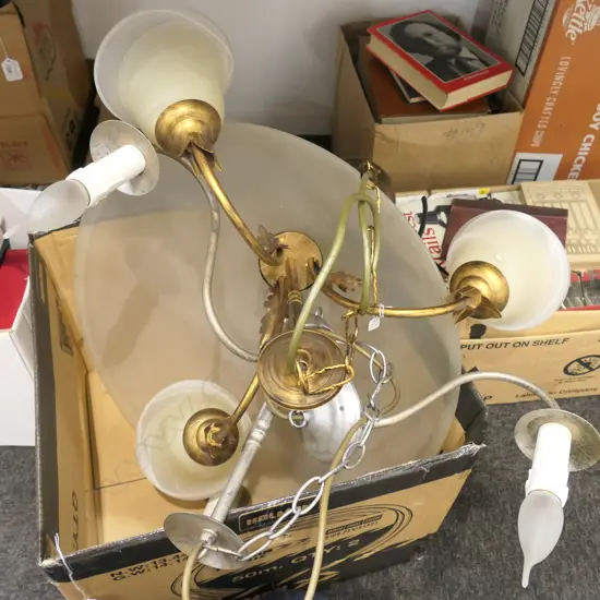 BOX LOT 3 DROP LIGHTS