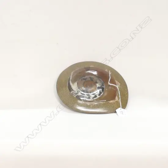 LARGE AMMONITE FOSSIL