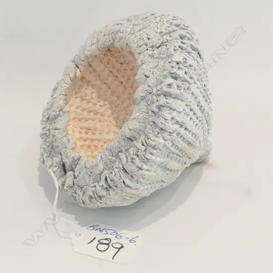 LEN CASTLE POTTERY SEED POD 1974