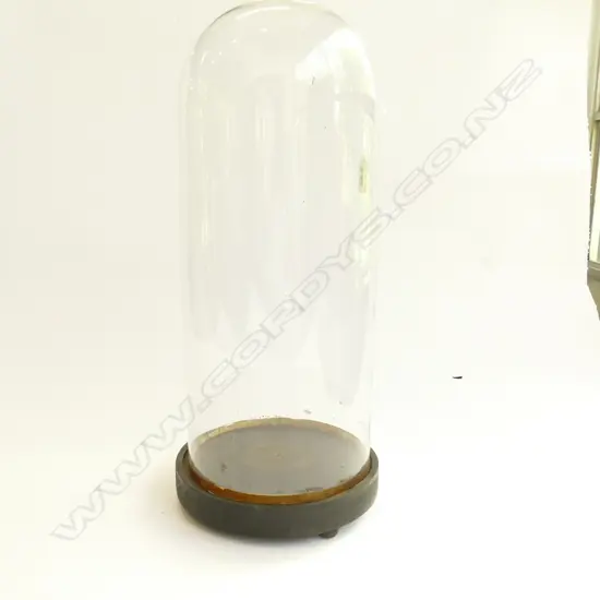 VINTAGE GLASS DISPLAY DOME ON EBONISED ROUND BASE