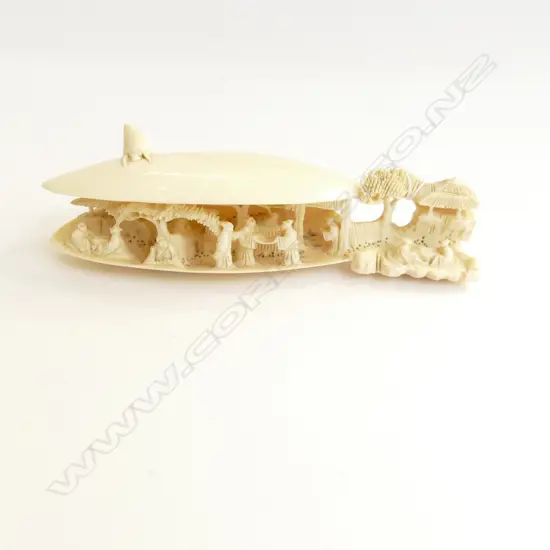 SMALL IVORY DREAM SHELL L130 MM
