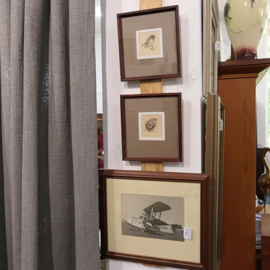 PAIR OF NZ BIRD ETCHINGS AND PHOTOGRAPH OF FLYING BOAT 335MM W X 285MM H