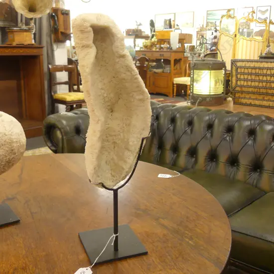 CORAL SPECIMEN ON STAND H 400 MM