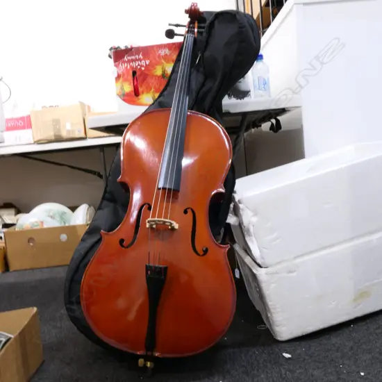 CELLO IN BAG