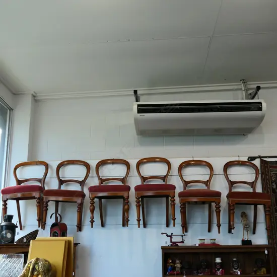 6 KAURI BALLOON BACK DINING CHAIRS