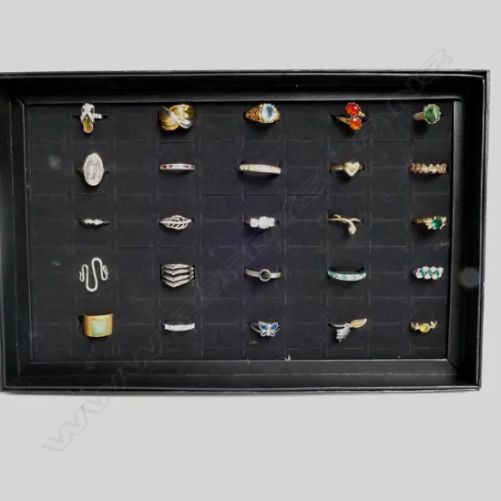 25 COSTUME RINGS IN A DISPLAY BOX