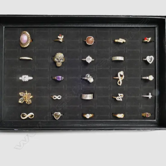 25 COSTUME RINGS IN A DISPLAY BOX