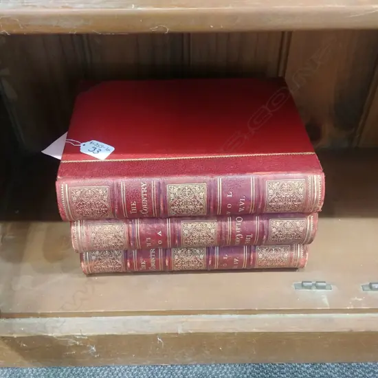 3 VOLUMES 'THE OLD COUNTRY'  19THC