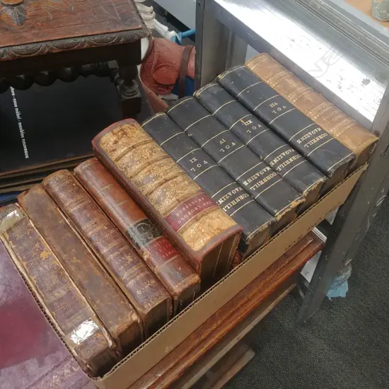 BOX 'DECORATIVE' 19TH CENTURY BOOKS 