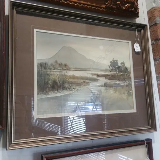 DAVID BLAIR, W/C, BRAEMAR LAGOON, MT EDGECUMBE, BAY OF PLENTY