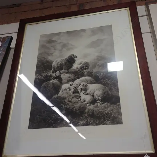 VIC. PICTURE OF STEEL ENGRAVING OF SHEEP ON A FARM