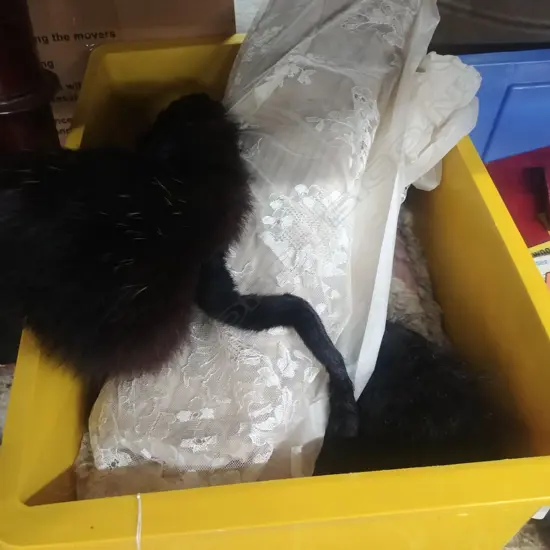 BOX VINTAGE STOLES, GLOVES ETC