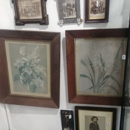 TWO NATIVE PLANT LITHOGRAPHS IN OAK FRAMES