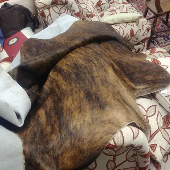 LARGE COW HIDE 