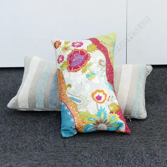 2X CUSHIONS; 1X AQUA; 1X MULTI COLOUR