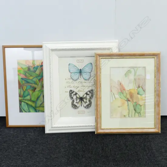 BUTTERFLY PRINT; 2X FRAMED PHOTOGRAPHS
