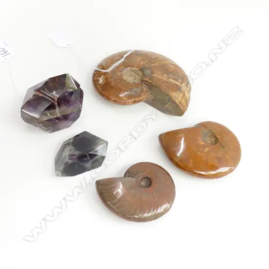 3 FOSSILIZED SNAIL SHELLS + 2 AMETHYST STONES