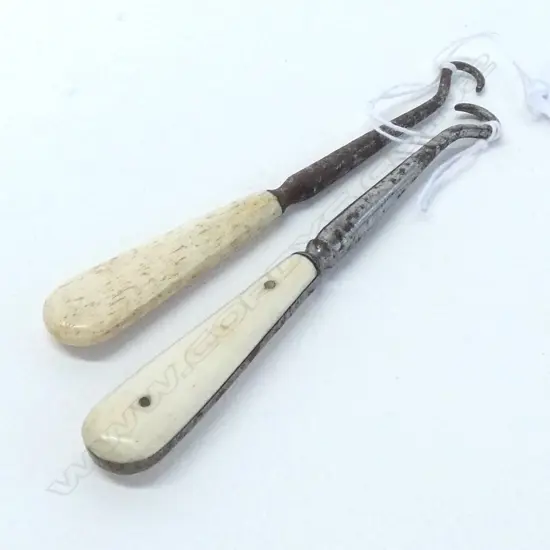 WHALE BONE ANTIQUE BUTTON BOOTHOOKS