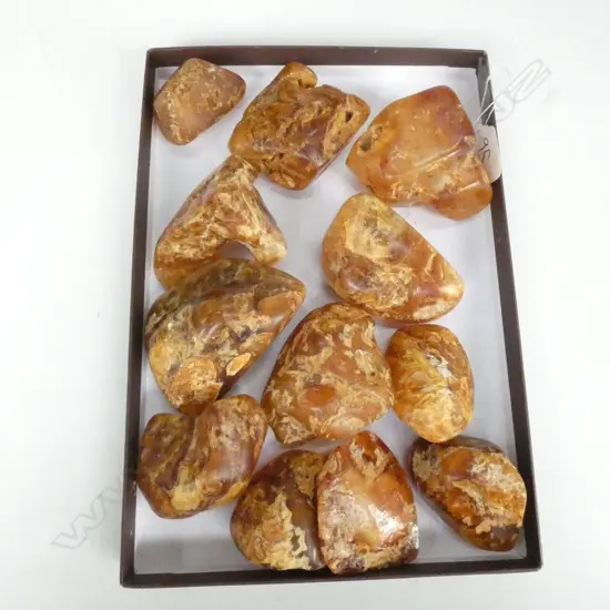 12 KAURI GUM NUGGETS