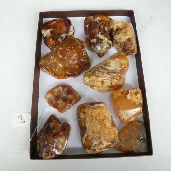 11 KAURI GUM NUGGETS