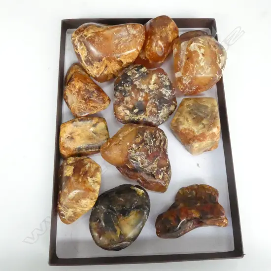 11 KAURI GUM NUGGETS