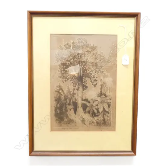 TREVOR LLYOD ENGRAVING HIS MAJESTY THE KAURI TREE 230 X 360 MM