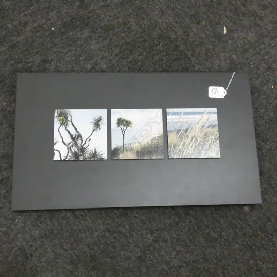 LENORE FARRELLY NZ PHOTO MONTAGE 