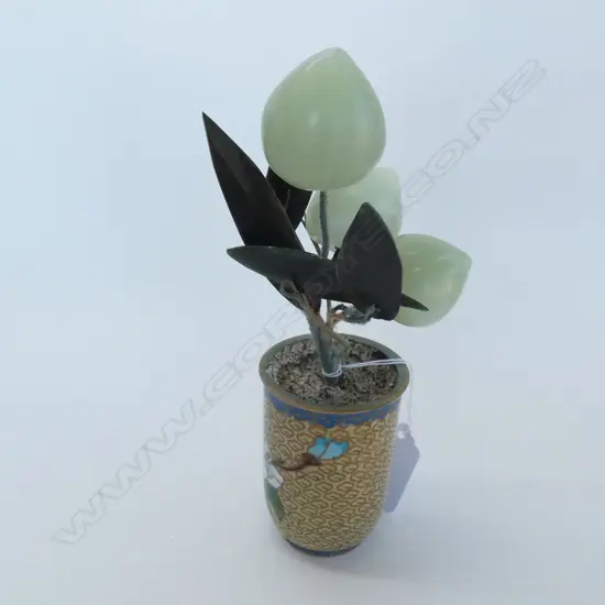 CHINESE JADE TREE IN CLOISONNE VASE H. 190MM
