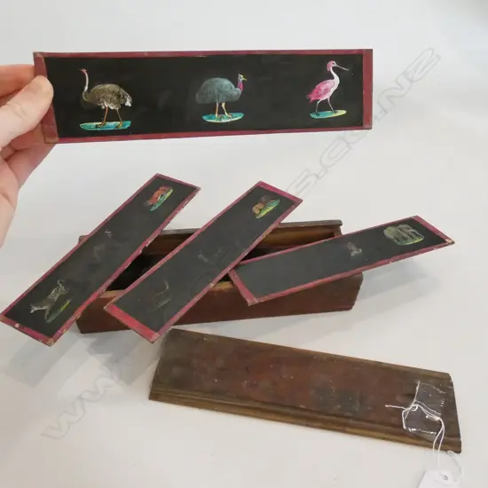 VINTAGE CASED GLASS SLIDES