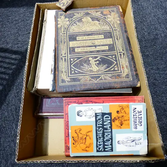 BOX LOT VINTAGE / ANTIQUE BOOKS INCL. 'LIFE & EXPLORATION OF LIVINGSTONE' 'SKETCHES FROM MAORILAND' ETC
