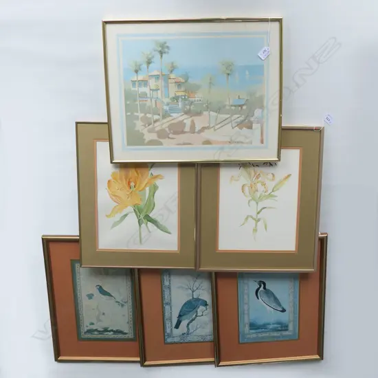 6 PRINTS; BIRDS, FLOWERS ETC