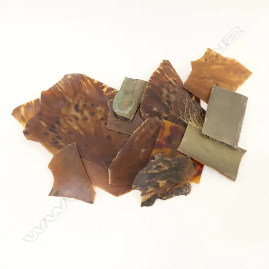 COLLECTION OF TORTOISESHELL PCES